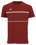 Meeste T-s&auml;rk Tecnifibre Team Tech Tee - Punane