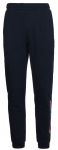 Meeste tennisep&uuml;ksid Tommy Hilfiger Graphic Sweatpant - Sinine