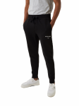 Meeste tennisep&uuml;ksid Bj&ouml;rn Borg Logo Pants - Sinine