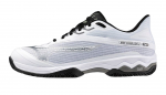 Meeste tennisejalatsid Mizuno Wave Exceed Light 2 CC - Valge