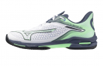 Meeste tennisejalatsid Mizuno Wave Exceed Tour 6 CC - Valge