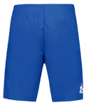 Meeste tennise&scaron;ortsid Le Coq Sportif Tennis Pro Short N&deg;24 M - Sinine