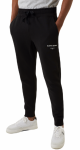 Meeste tennisep&uuml;ksid Bj&ouml;rn Borg Borg Logo Pants - Must