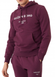 Meeste dressipluus Bj&ouml;rn Borg Hoodie - Lilla