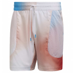 Meeste tennise&scaron;ortsid Adidas Melbourne Print Shorts M - Mitmev&auml;rviline
