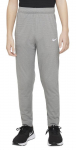 Poiste p&uuml;ksid Nike Poly+ Training Pant - Hall