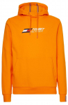 Meeste dressipluus Tommy Hilfiger Essentials Hoody - Oranž