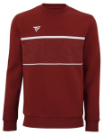 Meeste dressipluus Tecnifibre Team Sweater - Punane