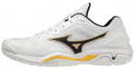 Meeste sulgpalli/squashi kingad Mizuno Wave Stealth V - white/black/lemon chrome
