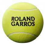 Autogrammipallid Wilson Roland Garros Mini Jumbo Ball - yellow + marker