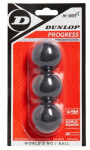 Squashipallid Dunlop Progress - 3B