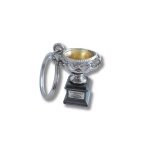 V&otilde;tmehoidja Australian Open 2024 Men's Trophy - H&otilde;bedane