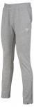 Meeste tennisep&uuml;ksid Tecnifibre Team Tech Pants - Hall