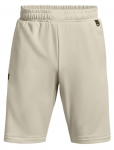 Meeste tennise&scaron;ortsid Under Armour Men's Armour Terry Shorts - Beež