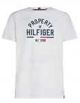 Meeste T-s&auml;rk Tommy Hilfiger Graphic SS Tee - Valge