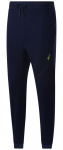 Meeste tennisep&uuml;ksid Reebok WOR Fleece Pant - Sinine