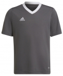 Poiste T-s&auml;rk Adidas Kids Entrada 22 Jersey - Hall