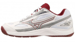 Naiste tennisejalatsid Mizuno Break Shot 4 AC - Valge