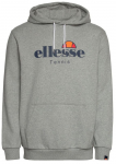 Meeste dressipluus Ellesse Palleonetto Hoodie - Hall