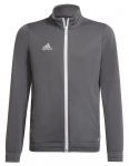 Poiste džemper Adidas Kids Entrada 22 Track Jacket - Hall