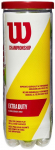 Tennisepallid Wilson Championship Extra Duty 3B