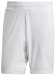 Meeste tennise&scaron;ortsid Adidas Ergo Shorts 7" M - Valge