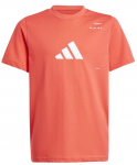 Poiste T-s&auml;rk Adidas Junior Aeroready Tennis Category Graphic - Punane