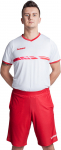 Meeste tennise&scaron;ortsid Hummel by UpToU Shorts - Punane