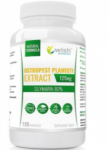 WISH Pharmaceutical Milk Thistle Extract 125 mg 120 caps