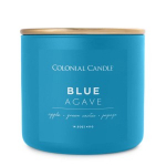 Colonial Candle&reg; L&otilde;hnak&uuml;&uuml;nal Blue Agave 411 g