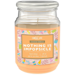 Candle-Lite L&otilde;hnak&uuml;&uuml;nal Nothing is Impopsicle 510 g
