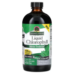 Nature's Answer Liquid Chlorophyll 480 ml
