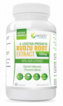 WISH Pharmaceutical Kudzu Root Extract 500 mg 60 caps