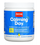 Jarrow Formulas Calming Day Lemon 465 g