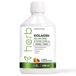 HERB Liquid Collagen ALL IN ONE 10.000 mg 500 ml