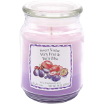 Candle-Lite L&otilde;hnak&uuml;&uuml;nal 3 Layer Sweet Nectar Flirty Fruits & Berry Bliss 538 g