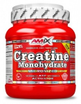 Amix Creatine Monohydrate 500 g