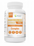 WISH Pharmaceutical Boswellia serrata Extract Complex 500 mg 120 caps