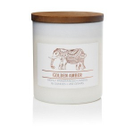 Colonial Candle&reg; L&otilde;hnak&uuml;&uuml;nal Golden Amber 453 g