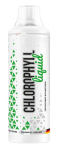 MST Nutrition Chlorophyll Liquid 500 ml