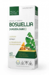 Medica Herbs Boswellia 400 mg 60 caps