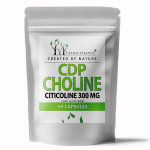 Forest Vitamin CDP Choline Citicoline 300 mg 60 caps