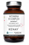 Kenay AG Vitamin B Complex LipoCellTech 60 vcaps