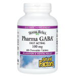 Natural Factors Pharma GABA 100 mg 60 chewables