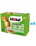 KITEKAT Delicate Flavours kotike 48x85 g m&auml;rg t&auml;istoit t&auml;iskasvanud kassidele kalkuni, k&uuml;&uuml;liku ja kodulinnuliha kastmega