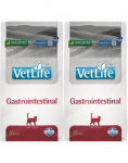 FARMINA Vet life Gastrointestinal Cat kuivtoit k&otilde;huprobleemidega kassidele 2 x 2 kg