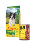 JOSERA Salmon and Potato Adult 12,5kg teraviljavaba toit tundliku seedimisega koertele + 800 g purk TASUTA