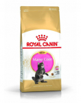 ROYAL CANIN Maine Coon Kitten kuivtoit kassipoegadele, kuni 15 kuu vanuseni, t&otilde;ug Maine Coon, 12x400 g