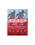 CARNILOVE Active Dog Salmon & Turkey Adult Large Breeds 2x12 kg l&otilde;he ja kalkun, t&auml;iskasvanud suurte t&otilde;ugude koertele