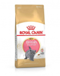 ROYAL CANIN Kitten british shorthair 2x2 kg kuivtoit kassipoegadele, kuni 12 kuud vanadele, Briti l&uuml;hikarvaline t&otilde;ug